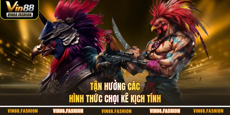 Tận hưởng các hình thức chọi kê kịch tính